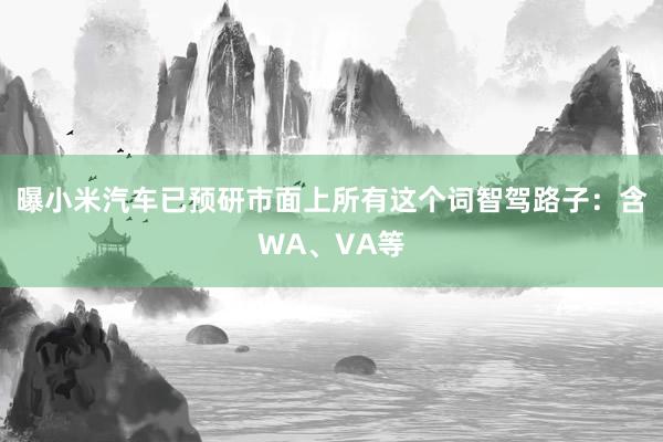 曝小米汽车已预研市面上所有这个词智驾路子：含WA、VA等